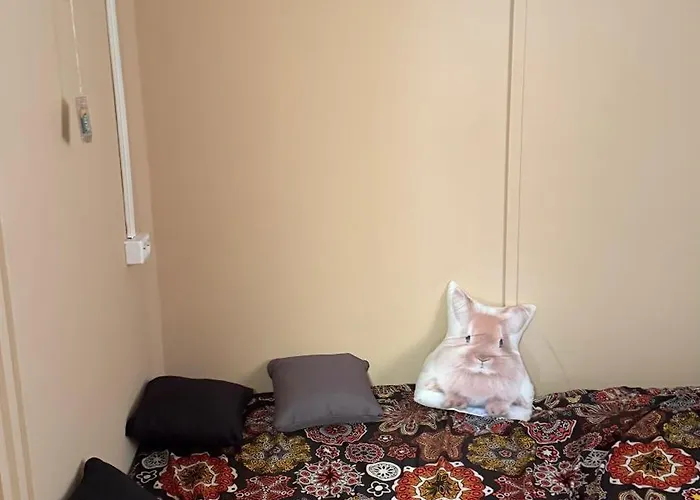 Gardonyi Csillagszem * 加尔多尼